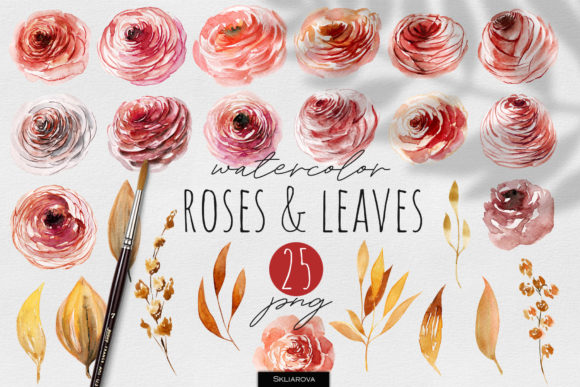 Autumn Roses Leaves Watercolor Clipart: Premium Illustrations