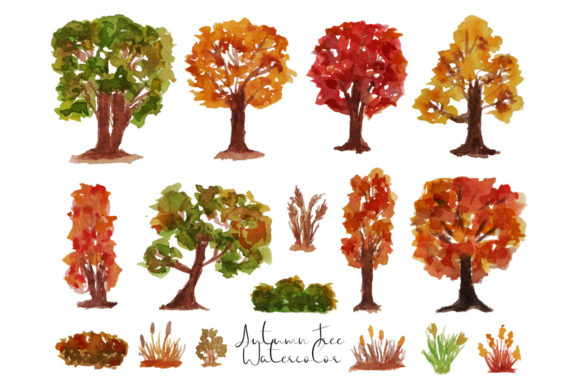 Autumn Tree Watercolor Collection: Illustrations for Sellers