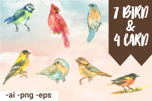Bird Watercolor Collection: Soft Illustrations for Branding