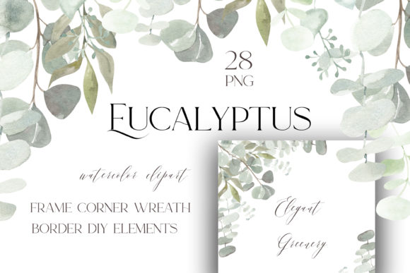 Eucalyptus Watercolor Bundle Png: A Designer's Review