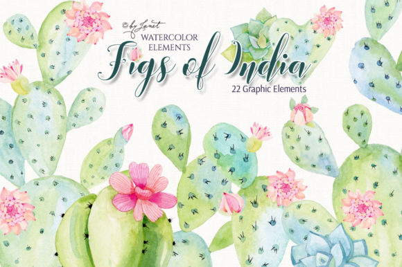 Figs of India Watercolor: Premium Illustrations