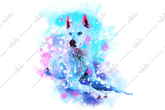 Husky Sublimation Watercolor: Fresh Illustrations