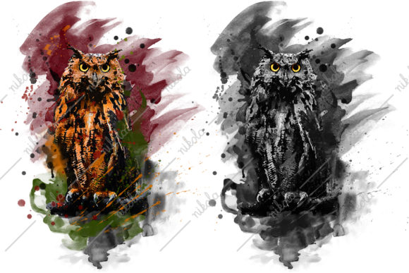 Owl Sublimation Watercolor: A Designer's Real-World Review