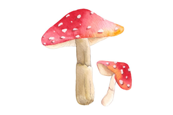 Red Mushroom Illustrations for Crafting