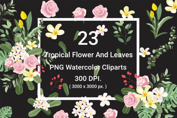 Reviewing 23 Flower PNG Watercolor Clipart Illustrations