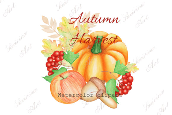 Watercolor Autumn Pumpkin: Perfect Illustrations