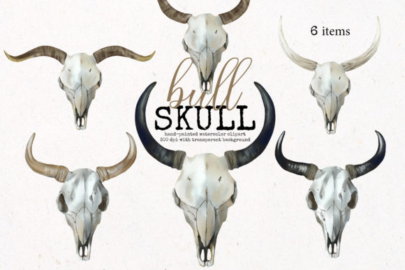Watercolor Boho Bull Skulls: A Review for Illustrations