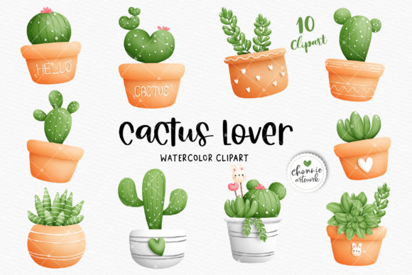 Watercolor Cactus, Succulent Clipart for Illustrations