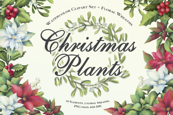 Watercolor Clipart Set Christmas Plants: Festive Illustrations