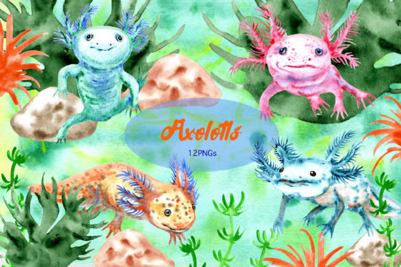 Watercolor Cute Axolotls: Perfect Illustrations