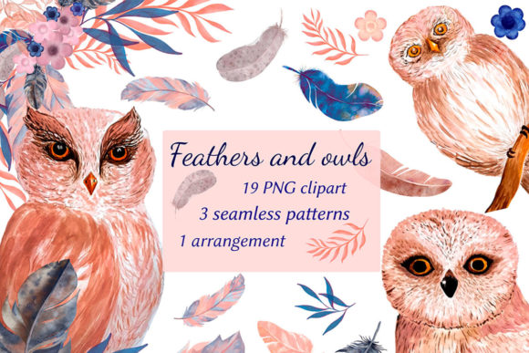Watercolor Feathers and Owls: Premium Illustrations