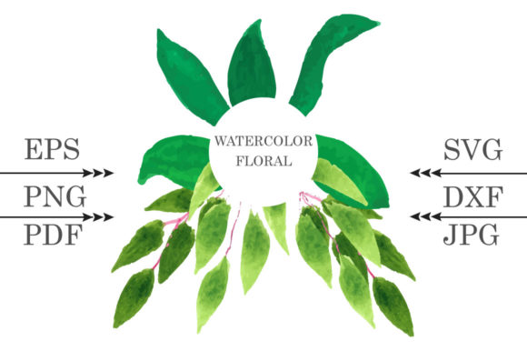 Watercolor Flower SVG: Premium Illustrations for Blogs