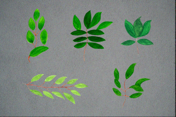 Watercolor Leaf with Floral Background Illustrations