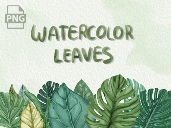 Watercolor Leaves Illustration: A Brand Review