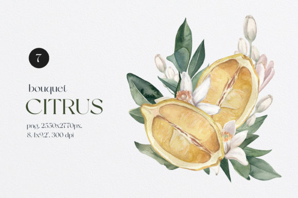 Watercolor Lemon Bouquet: Fresh Illustrations