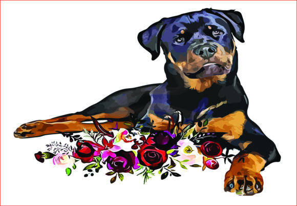 Watercolor Rottie PNG: Sublimation & Illustrations