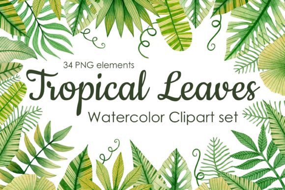Watercolor Tropical Leaves Clipart: Vibrant Illustrations